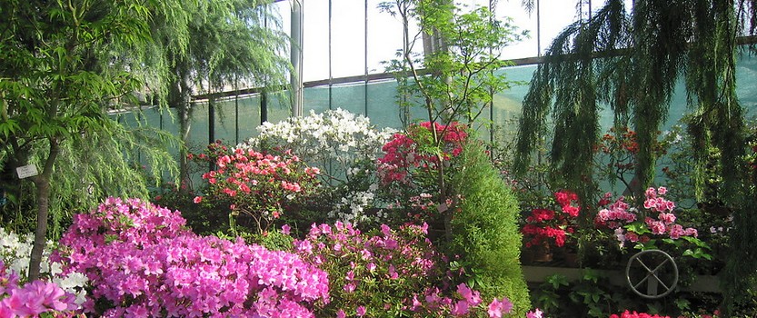 Walking through the greenhouses